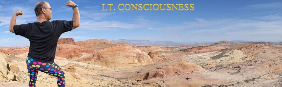 I.T. Consciousness Increasing Energy and Self Awareness